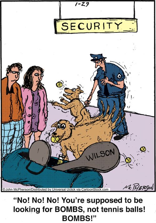 'No! No! No! You're supposed to be looking for bombs, not tennis balls! Bombs!'
