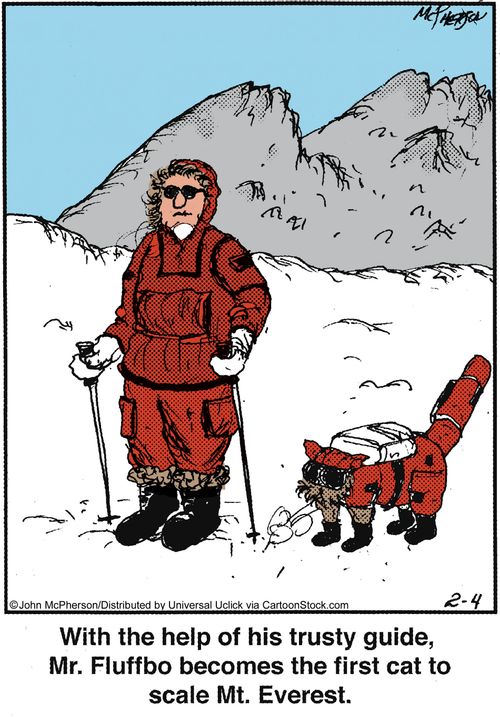 With the help of his trusty guide, Mr. Fluffbo becomes the first cat to scale Mt. Everest.