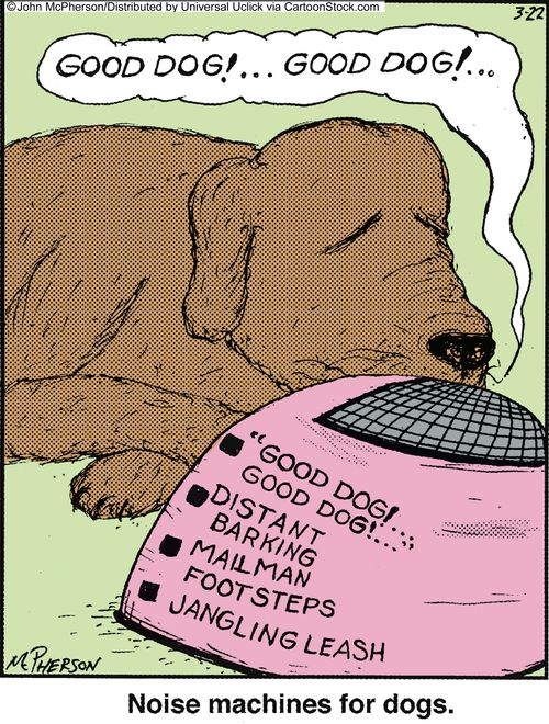 Noise machines for dogs.
