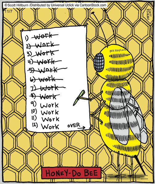 Beesy schedule.