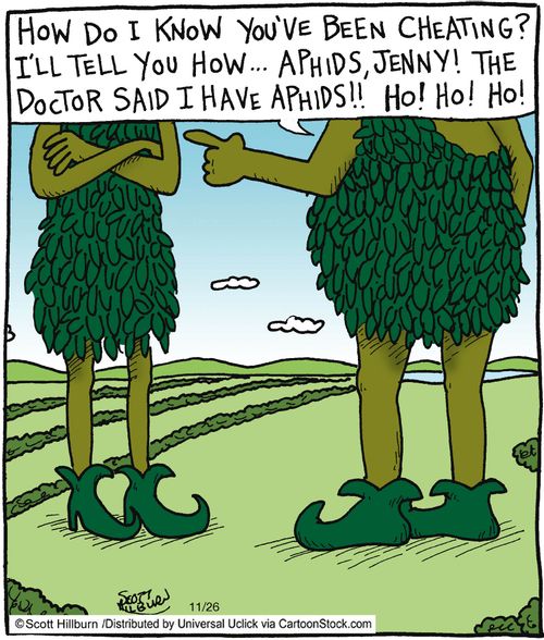 'How do I know you've been cheating? I'll tell you how...Aphids, Jenny! The doctor said I have aphids!! Ho! Ho! Ho!'