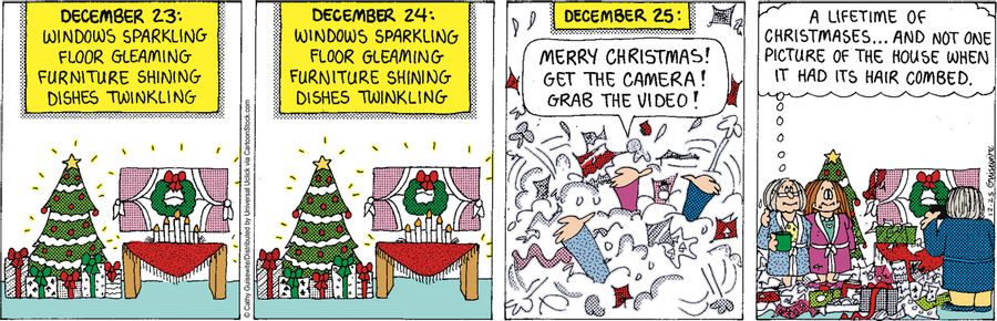 'A lifetime of Christmases. . . and not one picture of the house when it had its hair combed.'