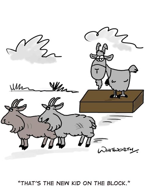 'That's the new kid on the block.'