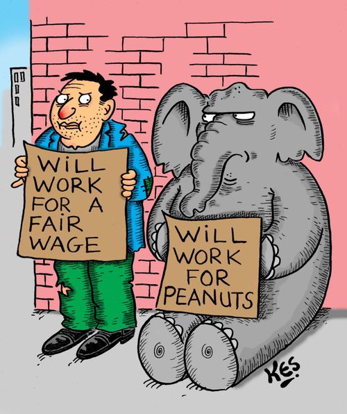 Will Work For Peanuts