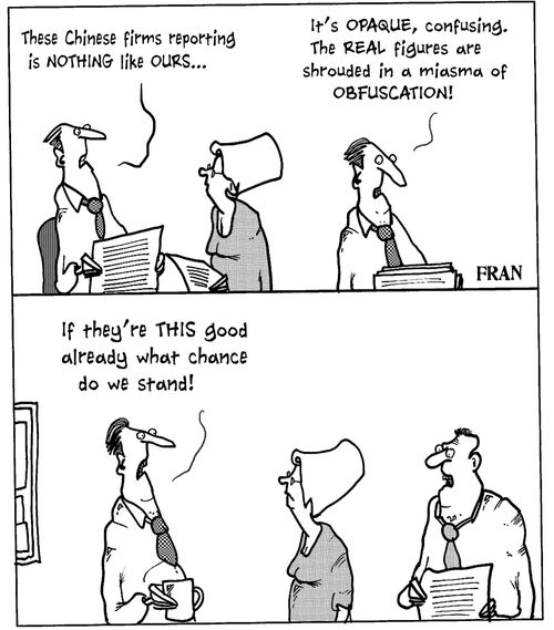 'These Chinese firms reporting is nothing like ours...'