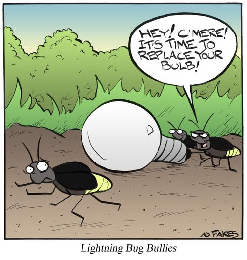 Lightning Bug Bullies
