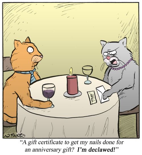 'A gift certificate to get my nails done for an anniversary gift? I'm declawed!'