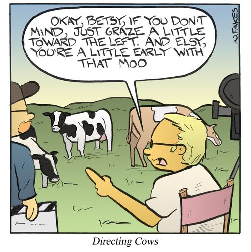 Directing Cows