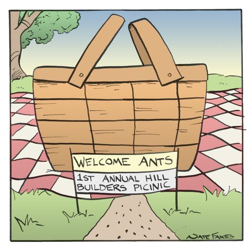 Ant Picinic