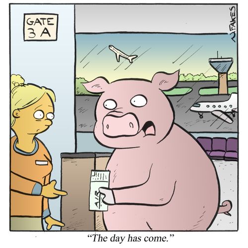 'The day has come.'