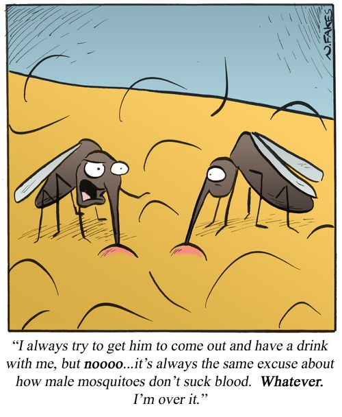 'I always try to get him to come out and have a drink with me, but noooo...it's always the same excuse about how male mosquitoes don't suck blood. Whatever. I'm over it.'