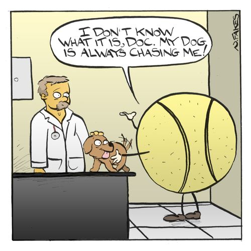 'I don't know what is it, Doc. My dog is always chasing me!'