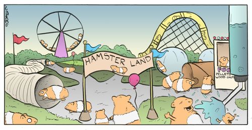 Hamster Land