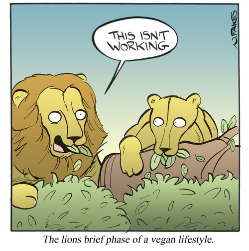 The lions brief phase of a vegan lifestyle.