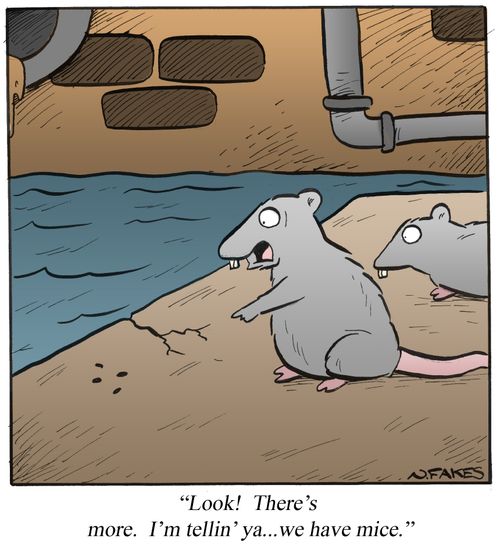 'Look! There's more. I'm tellin' ya...we have mice.'