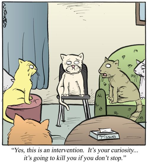 'Yes, this is an intervention. It's your curiosity...it's going to kill you if you don't stop.'