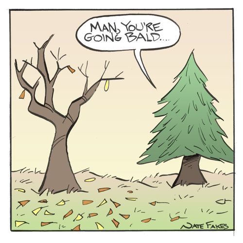 'Man, you're going bald.'