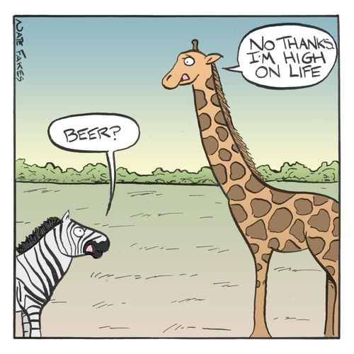 '...I'm high on life.'