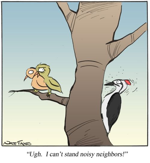 '...I can't stand noisy neighbors!'