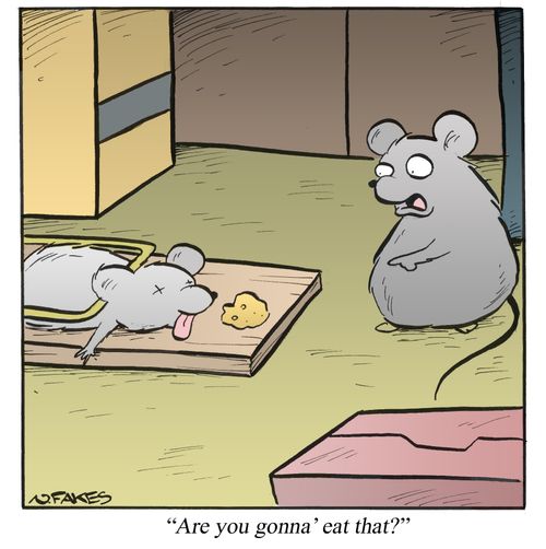 'Are you gonna' eat that?'