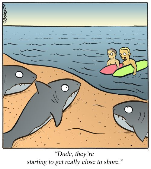 'Dude, they're starting to get really close to shore.'