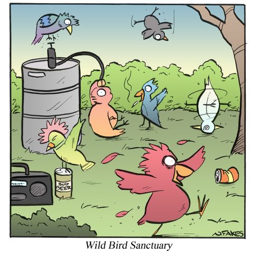 Wild Bird Sanctuary
