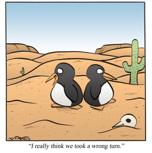 'I really think we took a wrong turn.'