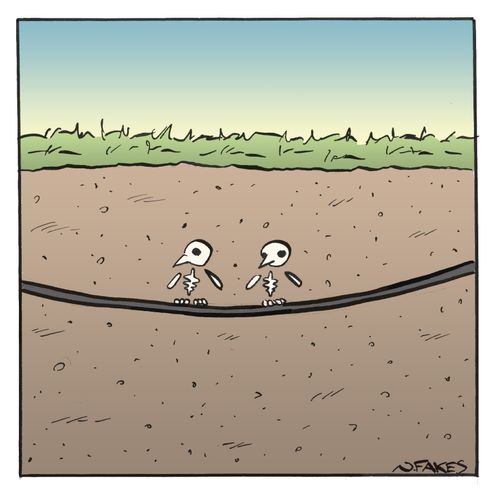 Buried Cable