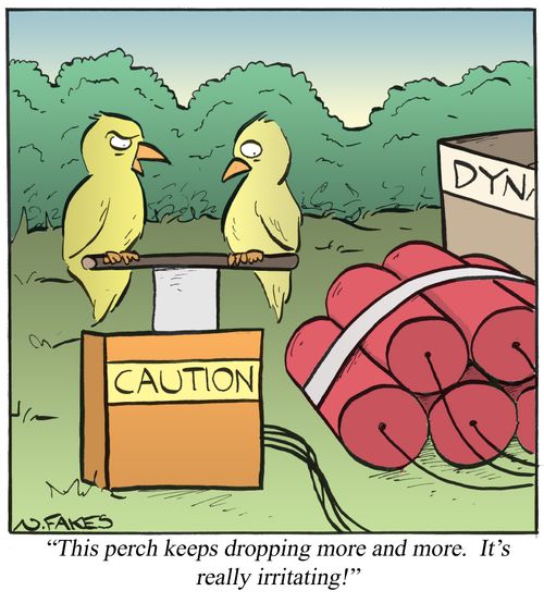 'This perch keeps dropping more and more.  It's really irritating!'