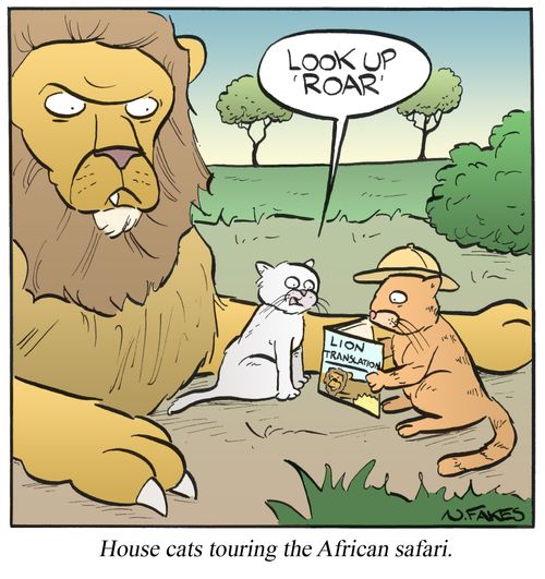 House cats touring the African safari.