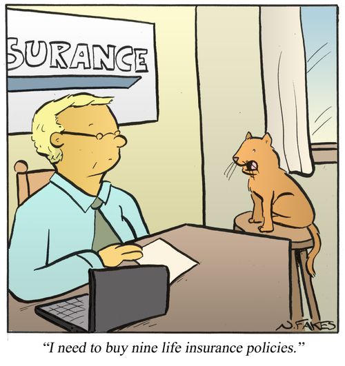 'I need to buy nine life insurance policies.'
