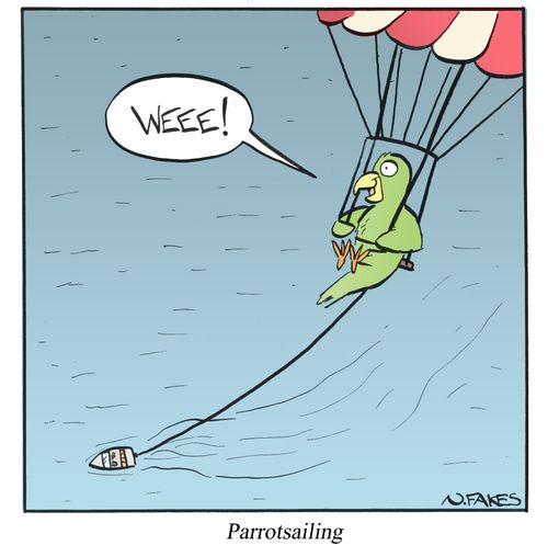 Parrotsailing