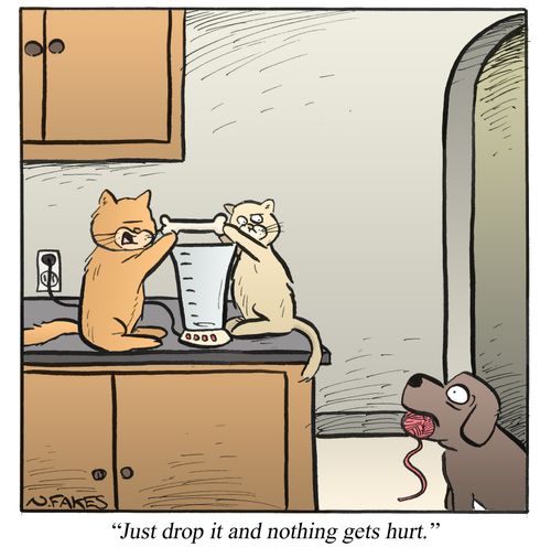 'Just drop it and nothing gets hurt.'