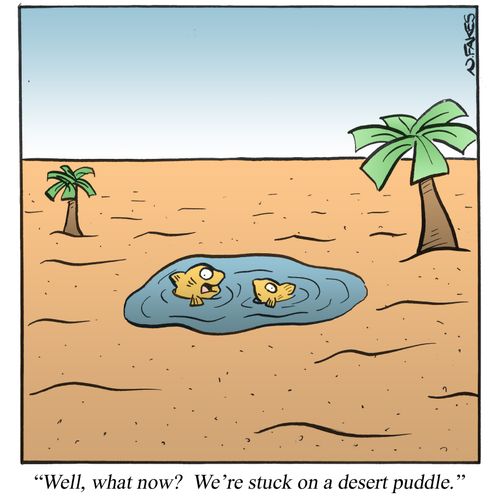 'Well, what now? We're stuck on a desert puddle.'