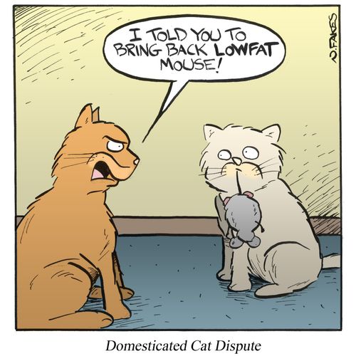 Domesticated Cat Dispute