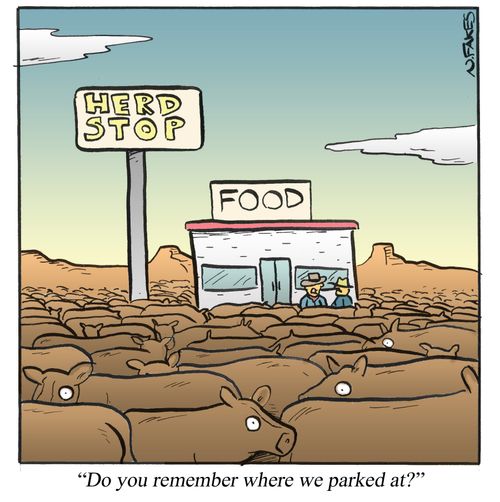 'Do you remember where we parked at?'
