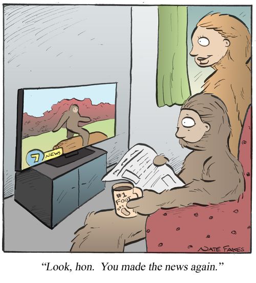 'Look, hon. You made the news again.'