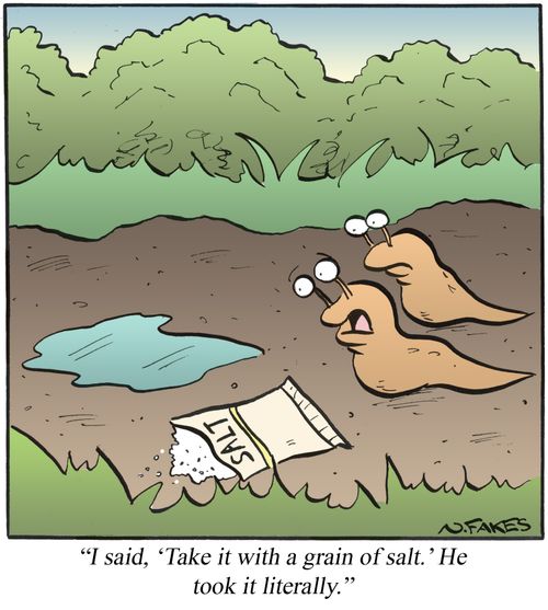 'I said, 'Take it with a grain of salt.' He took it literally.'