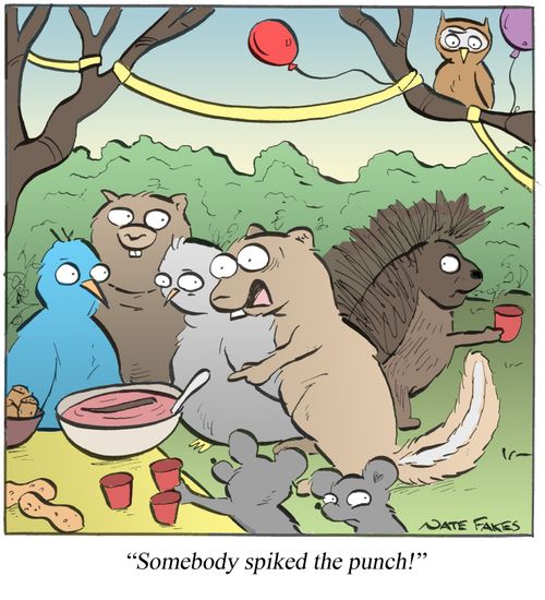 'Somebody spiked the punch!'
