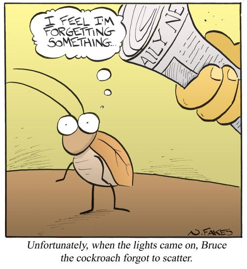 Unfortunately, when the lights came on, Bruce the cockroach forgot to scatter.