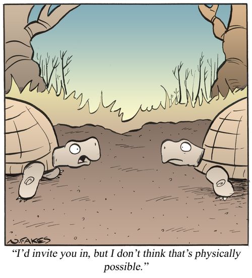 'I'd invite you in, but I don't think that's physically possible.'
