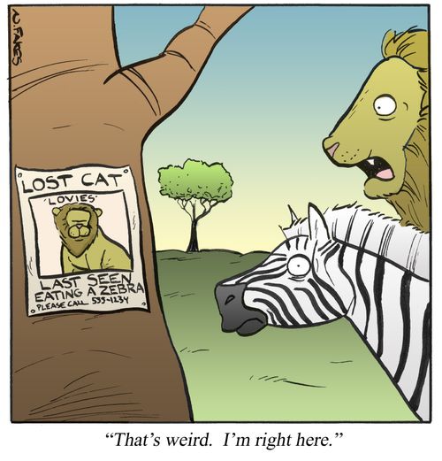 'That's weird. I'm right here.'