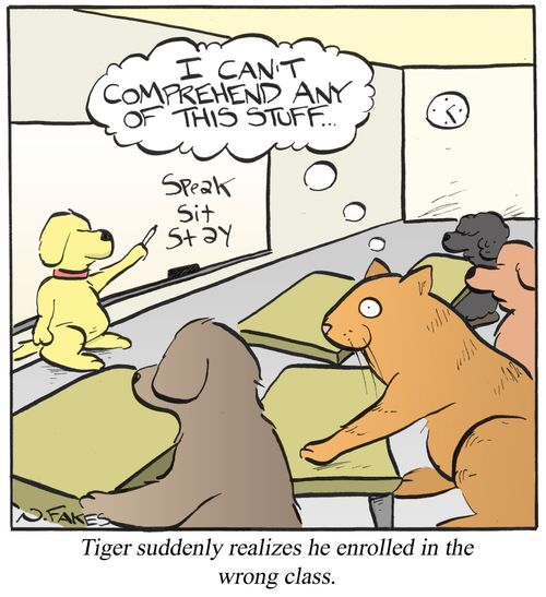 Tiger suddenly realizes he enrolled in the wrong class.