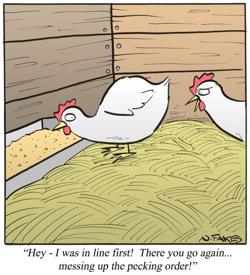 'Hey - I was in line first! There you go again...messing up the pecking order!'
