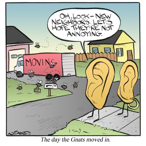 The day the Gnats moved in.