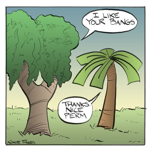 Tree Hair