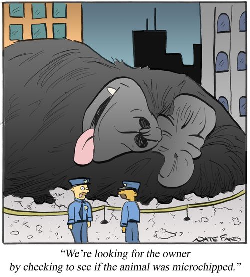 'We're looking for the owner by checking to see if the animal was microchipped.'