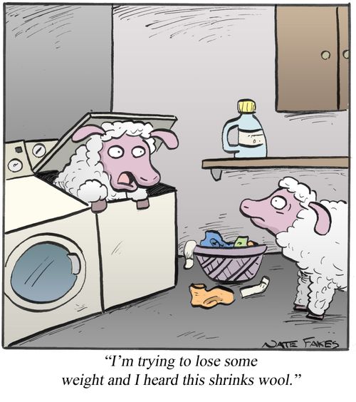 'I'm trying to lose some weight and I heard this shrinks wool.'