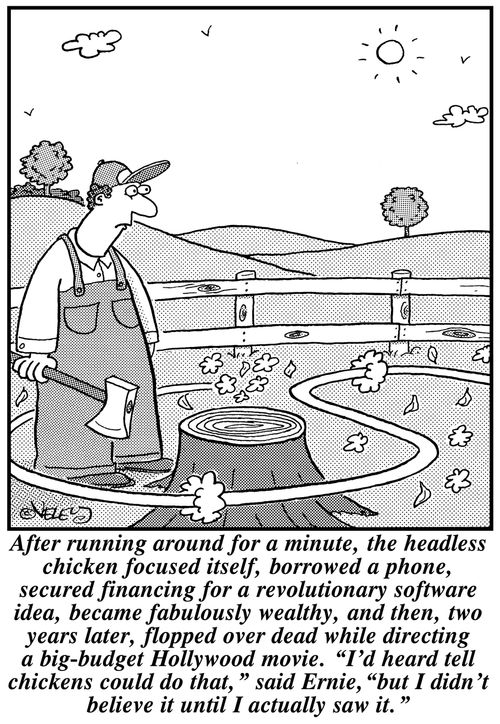 An overachieving headless chicken.