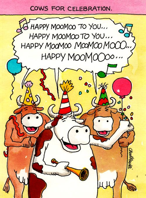 Cows For Celebration